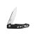 Briceag Ganzo Firebird FH21 - Negru