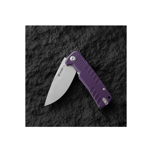 Ganzo G769 - Violet
